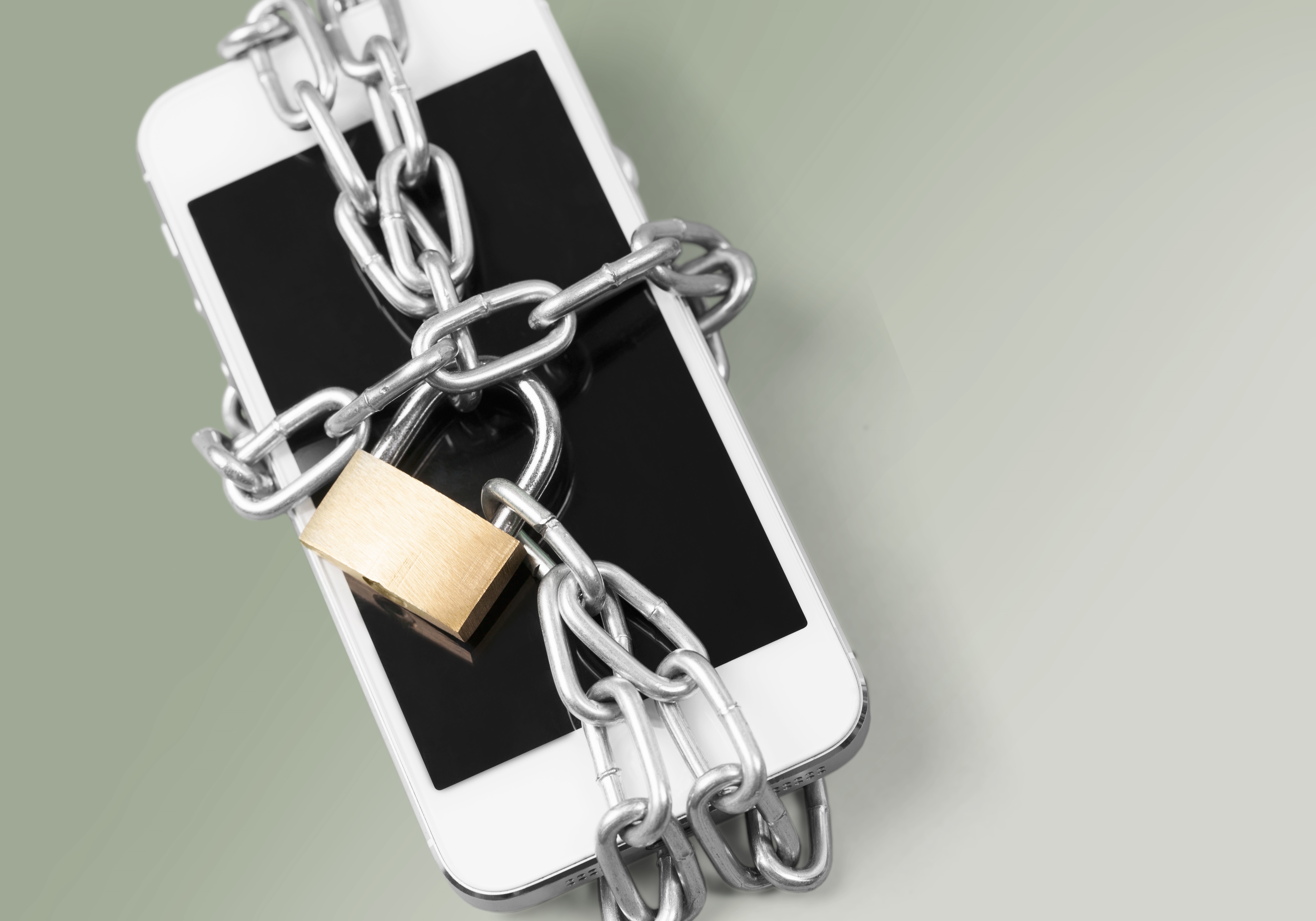 Litigation Update: The Government, Apple, and the Encryption Debate