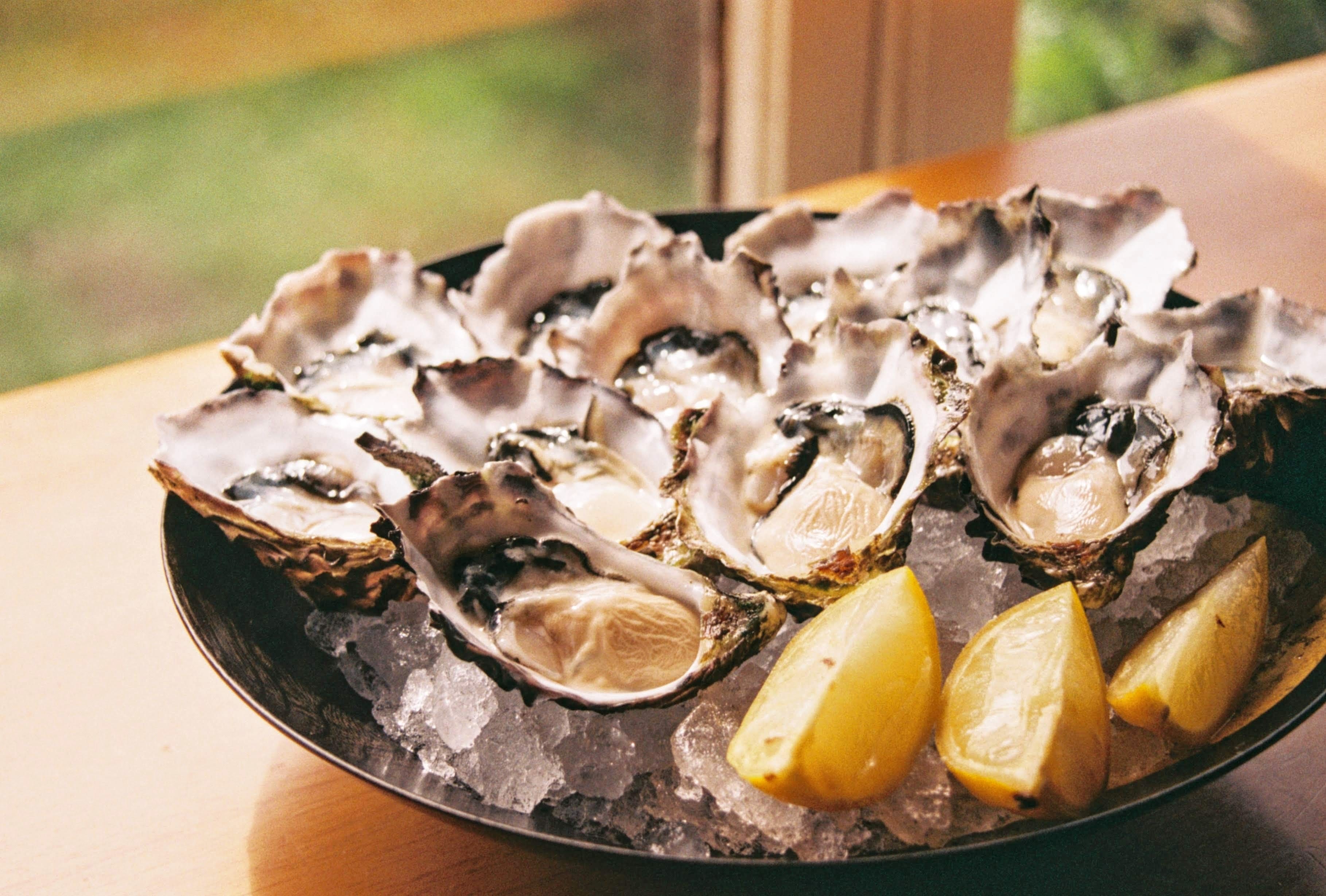 On Oysters, Property, John Locke, and the Court of Federal Claims: Campo v. United States